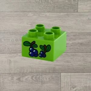 Lego duplo blok met afbeelding<br/>druiven<br/>limoen